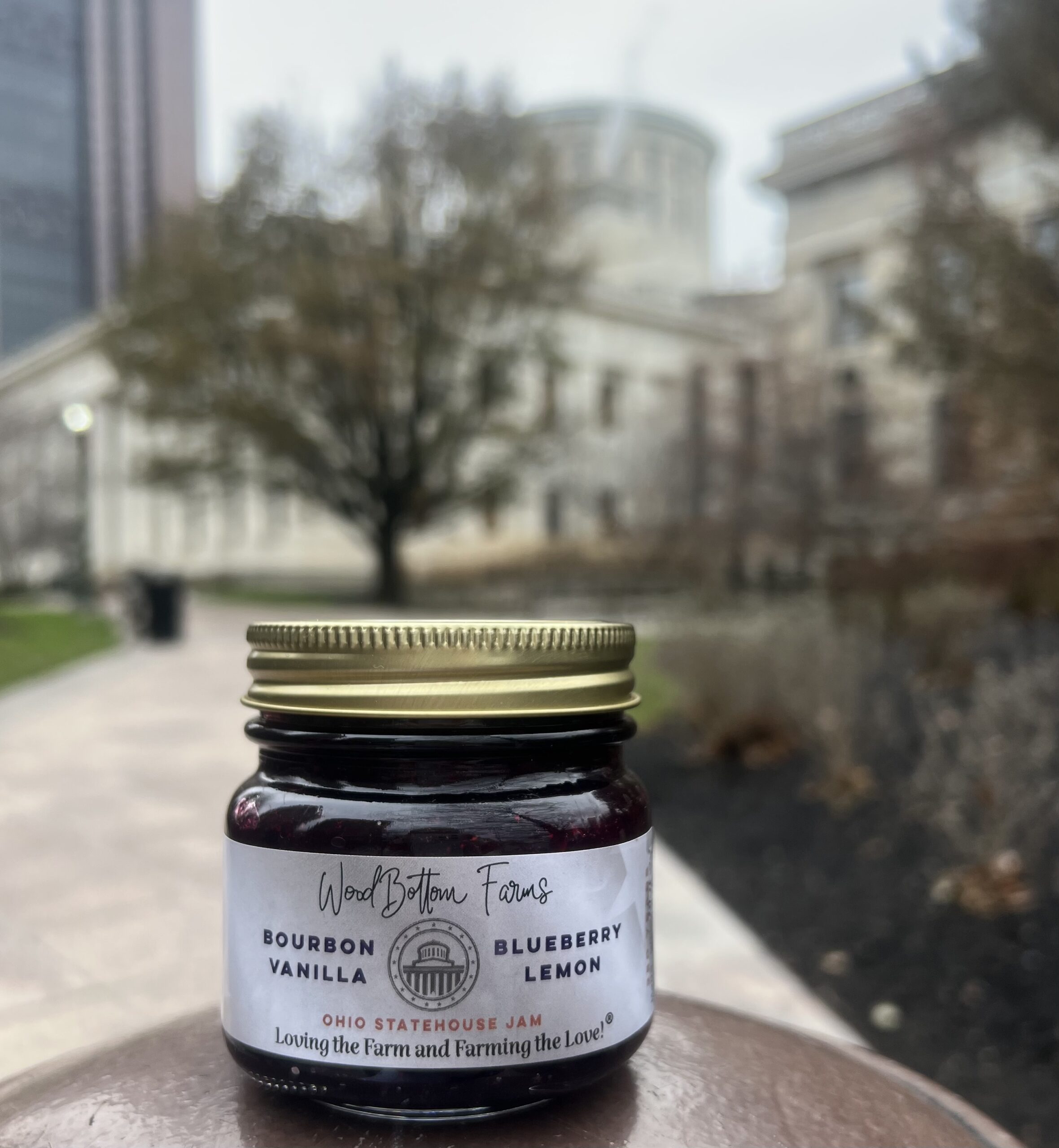 Bourbon Vanilla Blueberry Lemon Statehouse Jam